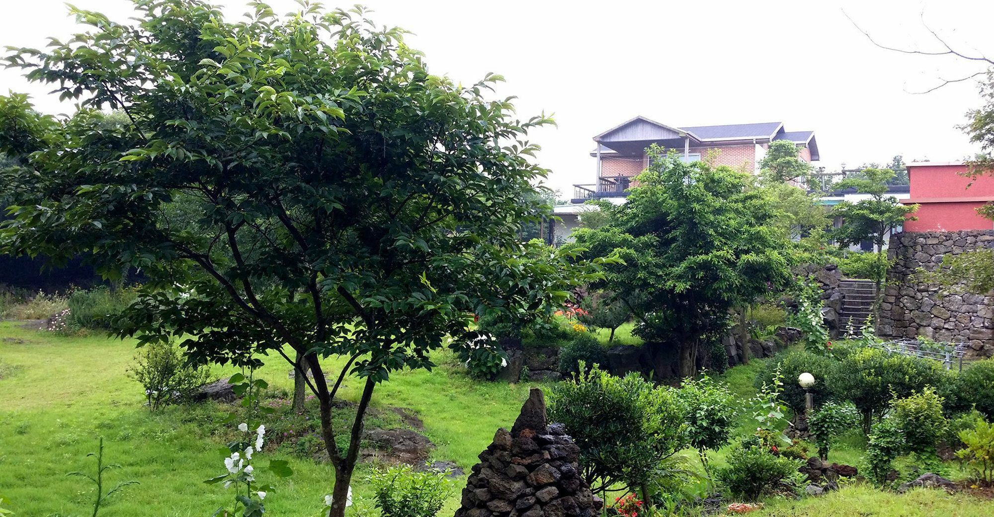 Gotjawal Geomunoreum Pension Jeju Extérieur photo